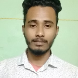 Nilotpal Roy
