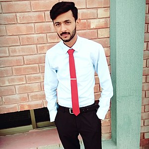 Usama Ramzan