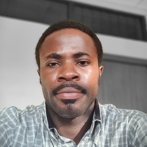 Wisdom Chinemerem Nwosu
